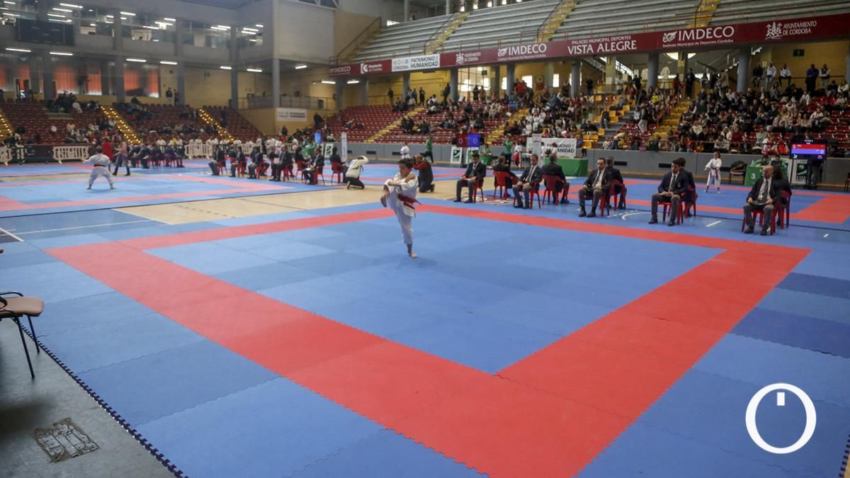 Campeonato de Andalucía Infantil y Juvenil de kárate