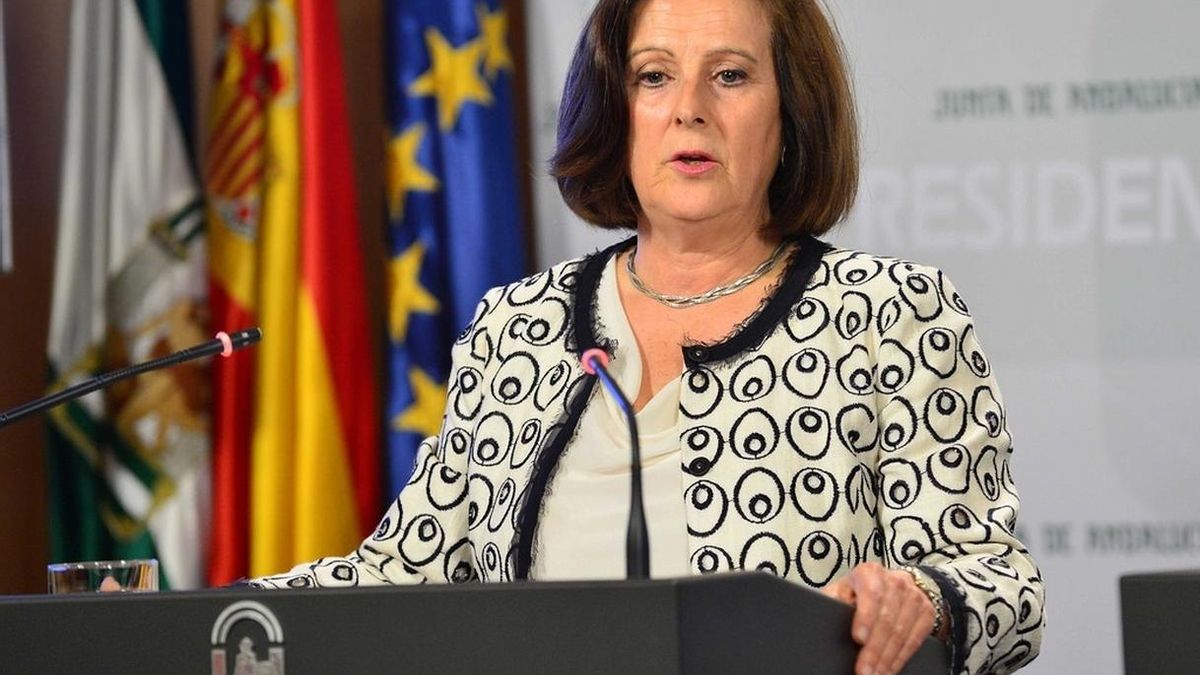 Sánchez Rubio asegura que "sea quien sea" el tutor del niño británico "la última palabra" la tienen los médicos