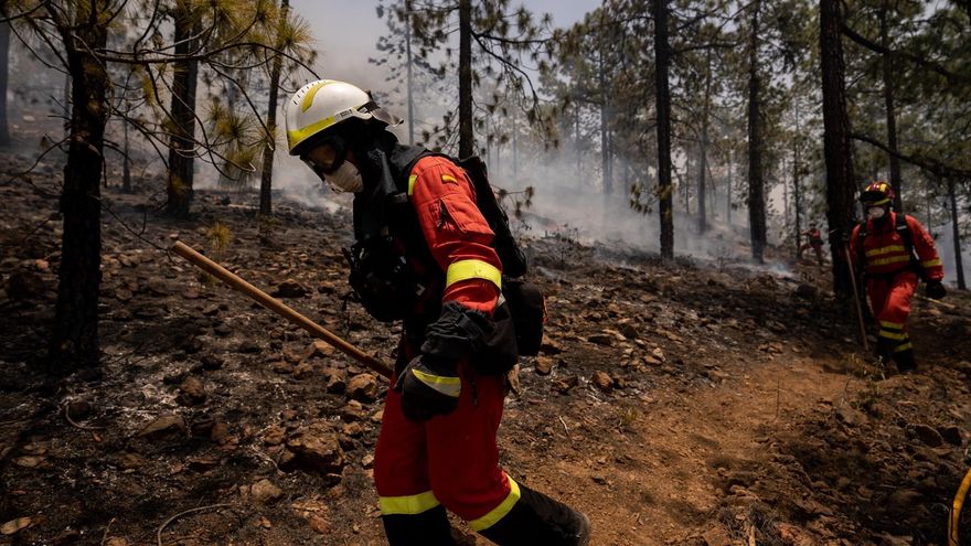 Miembros de la UME, trabajando en la extinción del fuego en Arico, Tenerife, que ya ha entrado en el Parque Nacional del Teide