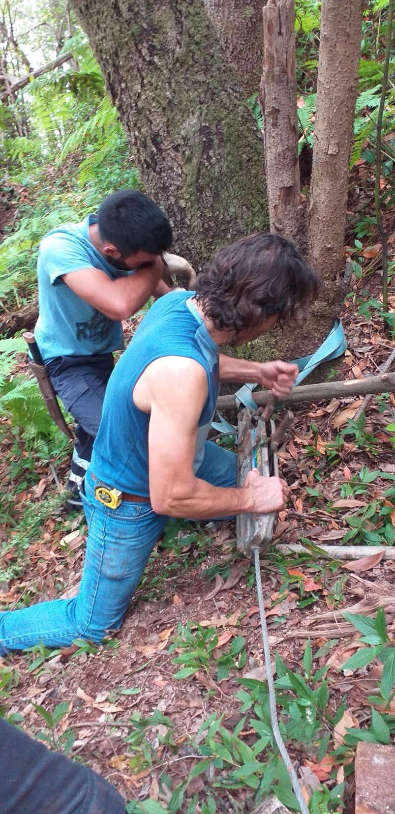Trabajos de recuperación del camino.