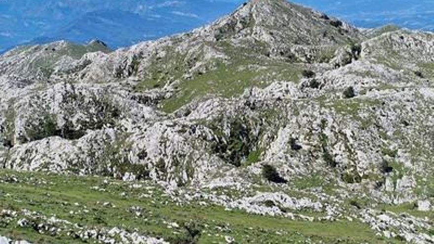 Complicada intervención de Bomberos de Asturias para rescatar a una cabra