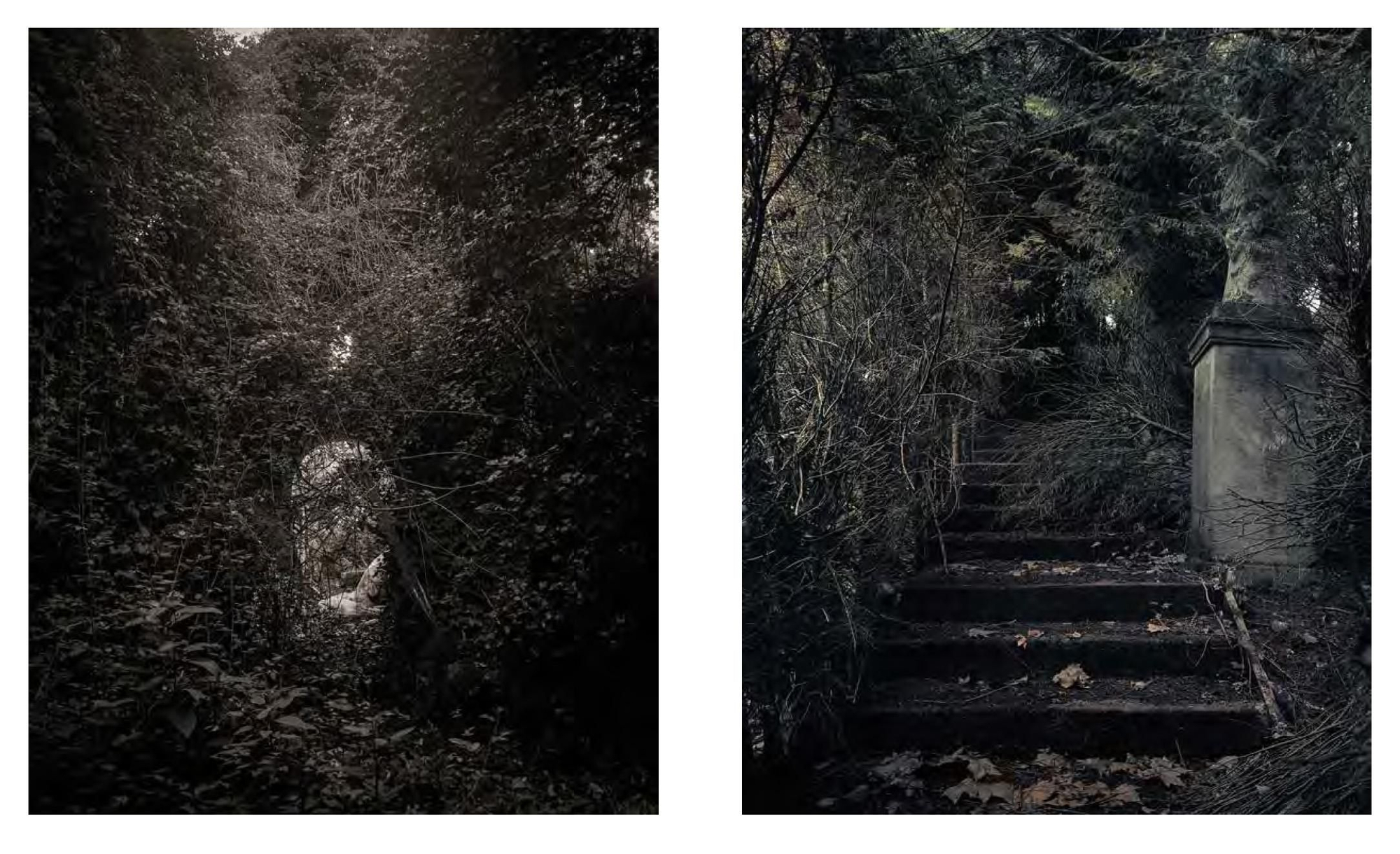 Fotografías del catálogo “Mapa del abandono”, que se presenta en la exposición acogida por el monasterio burgalés de Rioseco