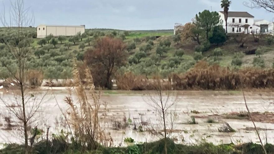 Río Cabra a su paso por la localidad egabrense.