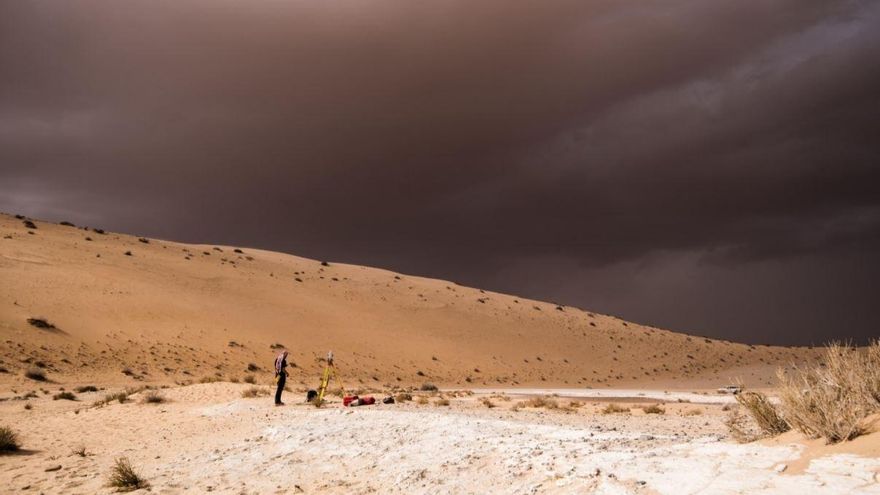 Arabia, el corredor verde que canalizó las primeras migraciones humanas