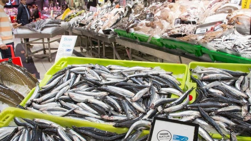 Los pescadores consideran "excepcional" la costera de la anchoa y valoran el "impulso" de Pesca a la IGP