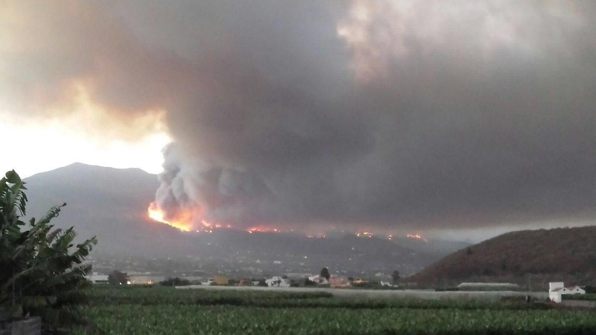 Incendio en El Paso en La Palma @AT_Brif