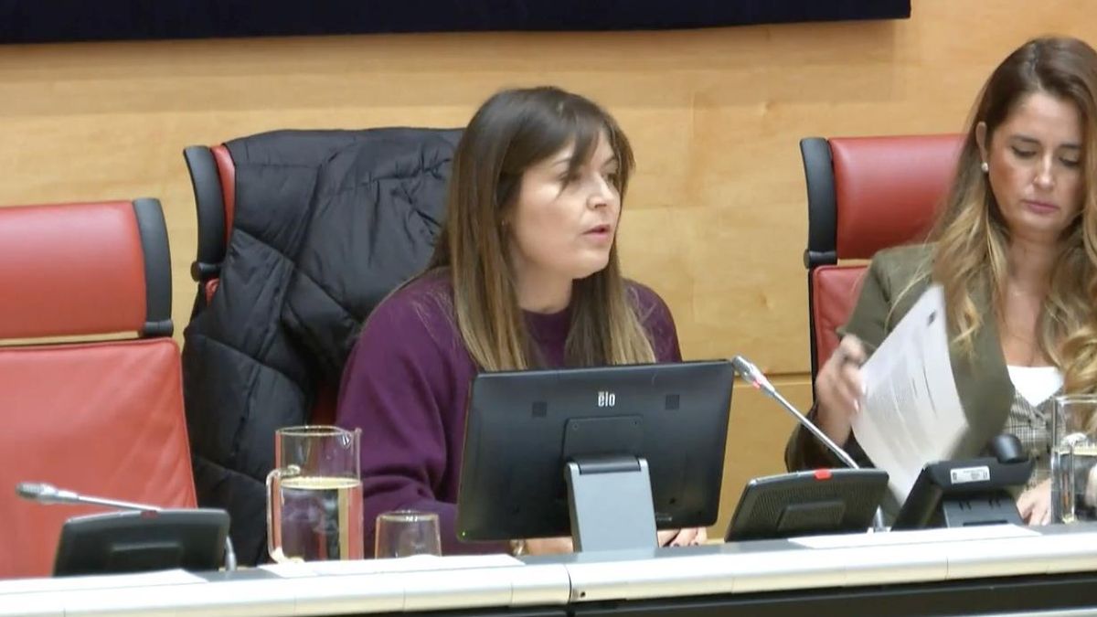 La presidenta de la Comisión de Medio Ambiente de las Cortes de Castilla y León, Beatriz Coelho Luna, en una imagen de archivo.