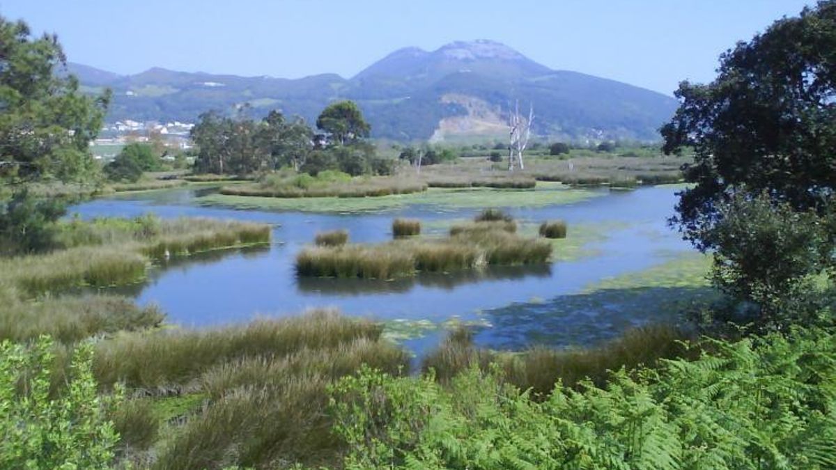 Marismas se Santoña
