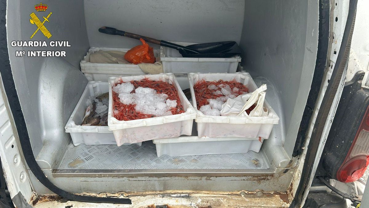 La Guardia Civil descubre más de 28 kilogramos de pescado y marisco transportados de forma irregular en un vehículo en La Gomera
