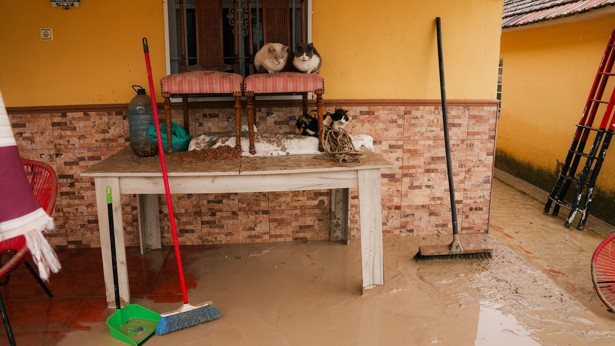El lodo y el barro, dentro de las parcelas de las calles Perdiz y La Tórtola
