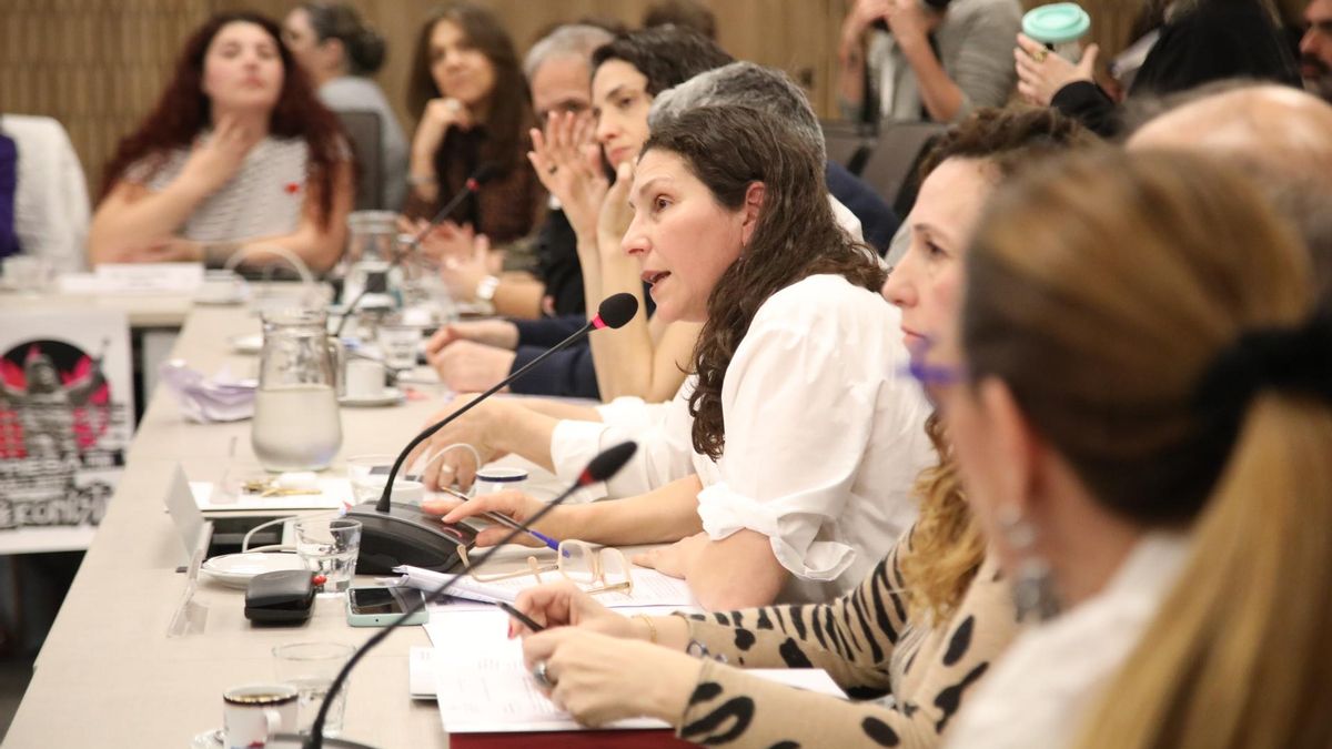 Mónica Macha, presidenta de la comisión