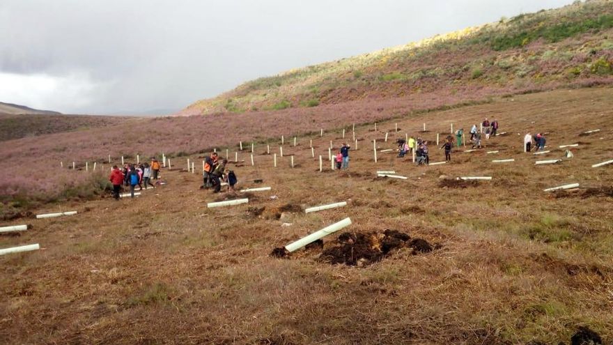 ICAL Vecinos de Anllares del Sil (León) participan en una plantación de frutales para favorecer el hábitat del oso pardo