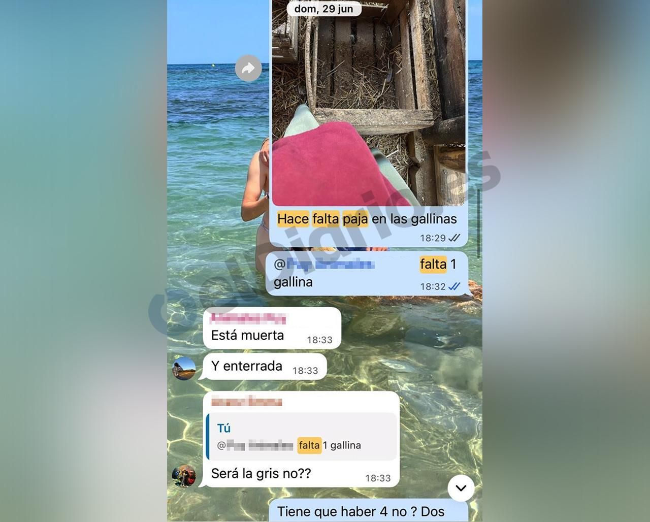 Captura de WhatsApp en el que se afirma que una gallina muerta está enterrada