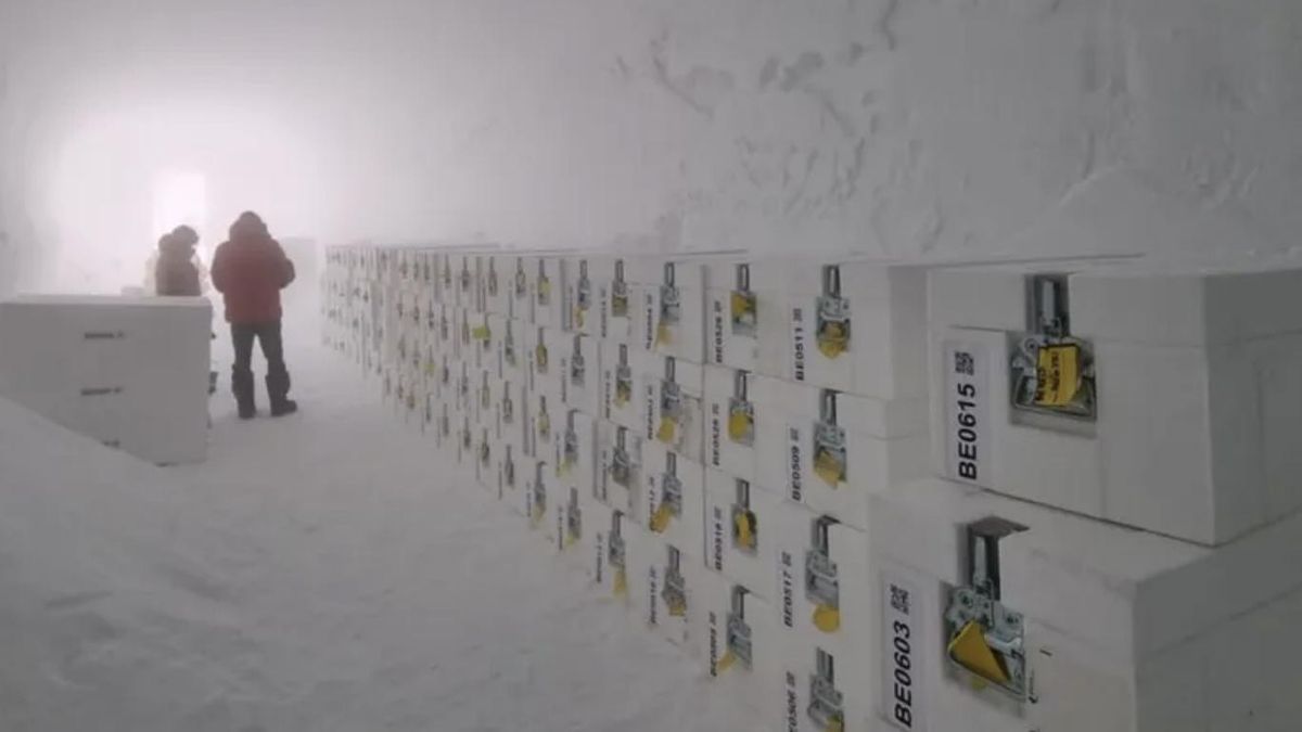 La cooperación internacional busca reconstruir la evolución de los gases atmosféricos