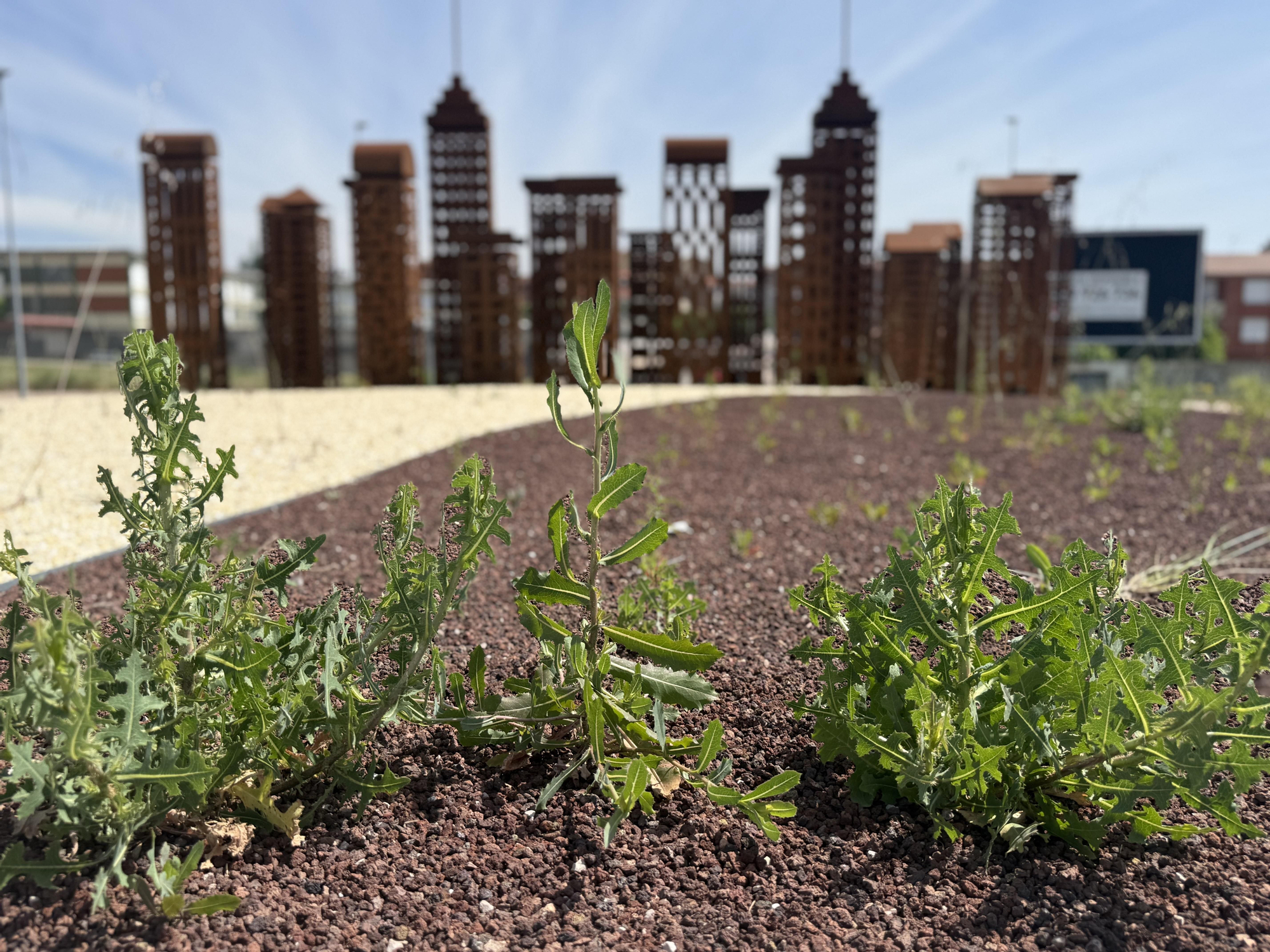 Nuevos elementos decorativos al fondo y la vegetación descontrolada en primer término en una rotonda de León.