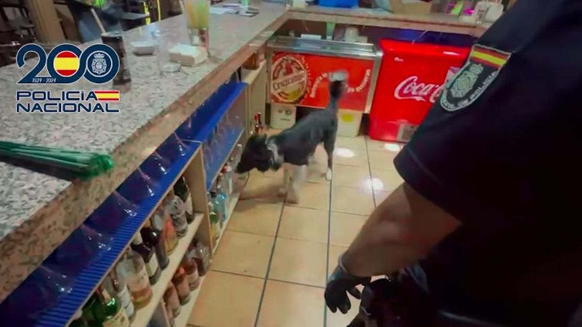 Imagen del interior del club de Córdoba durante el registro policial.