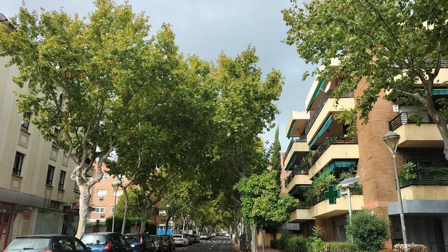 El Plan del Arbolado de Córdoba prevé llegar a un 25% de cobertura de sombra en diez años