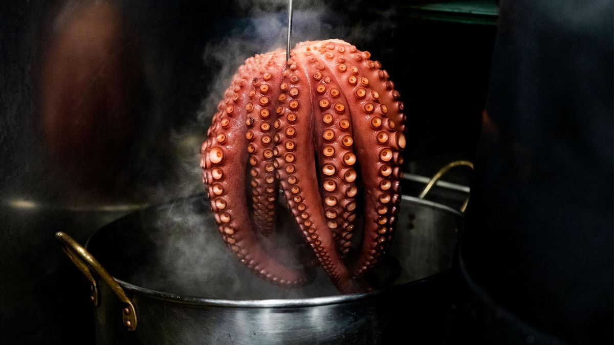 Portada Gastronomía | Especial A Coruña | Un festín de sabores: del Atlántico a tu mesa (un pulpo)