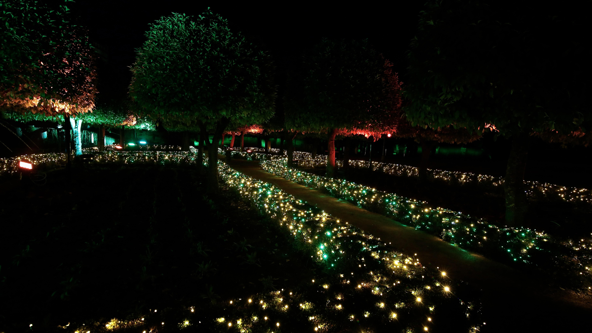 Nuevo espectáculo de Naturaleza Encendida en el Alcázar