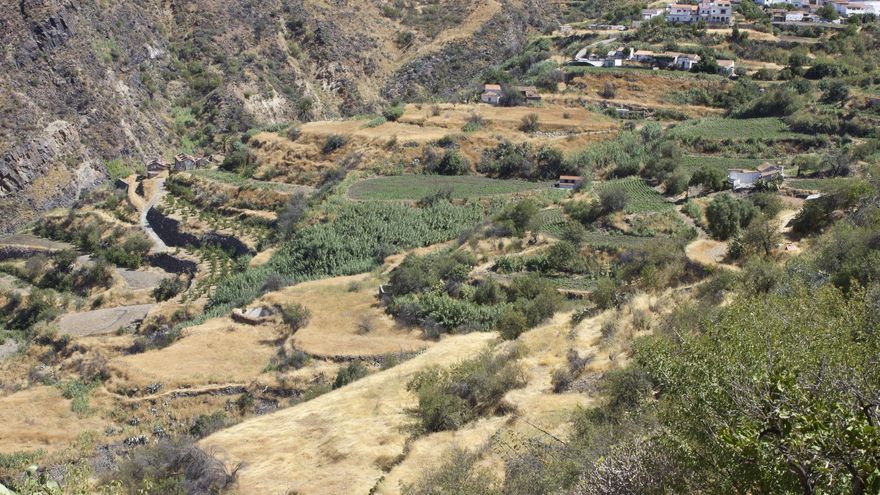 El agua pone a la cumbre grancanaria en pie de guerra: agricultores y colectivos piden la declaración de zona sobreexplotada