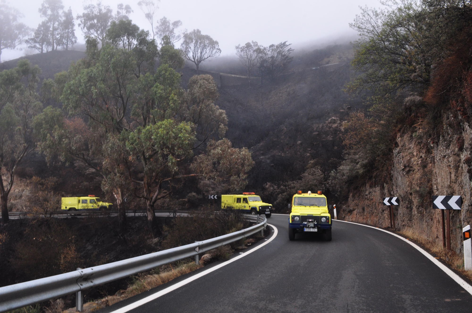 Despliegue terrestre para ayudar a controlar y extinguir el incendio de Gran Canaria. (Ángel Sarmiento).