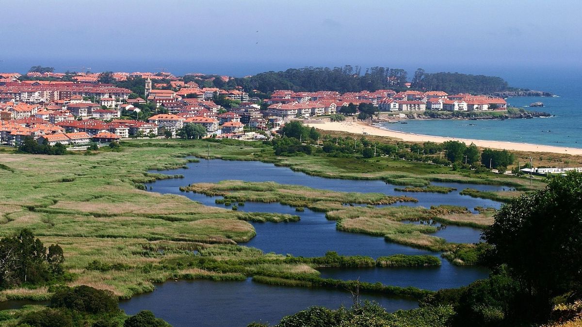 Marisma de Victoria en Noja.