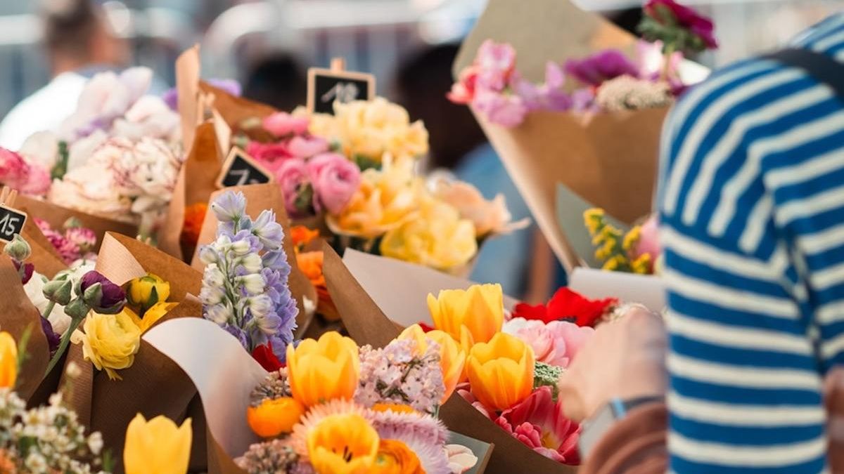 Es el espacio perfecto para resolver dudas y asegurar que las plantas domésticas crezcan sanas bajo la supervisión de auténticos profesionales