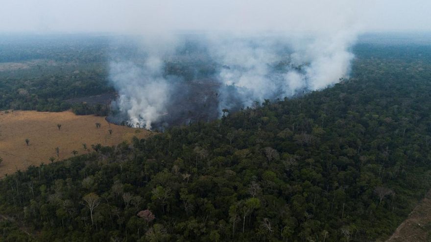 Vista aérea de los efectos de un de incendio en la Amazonía de Rondonia (Brasil).