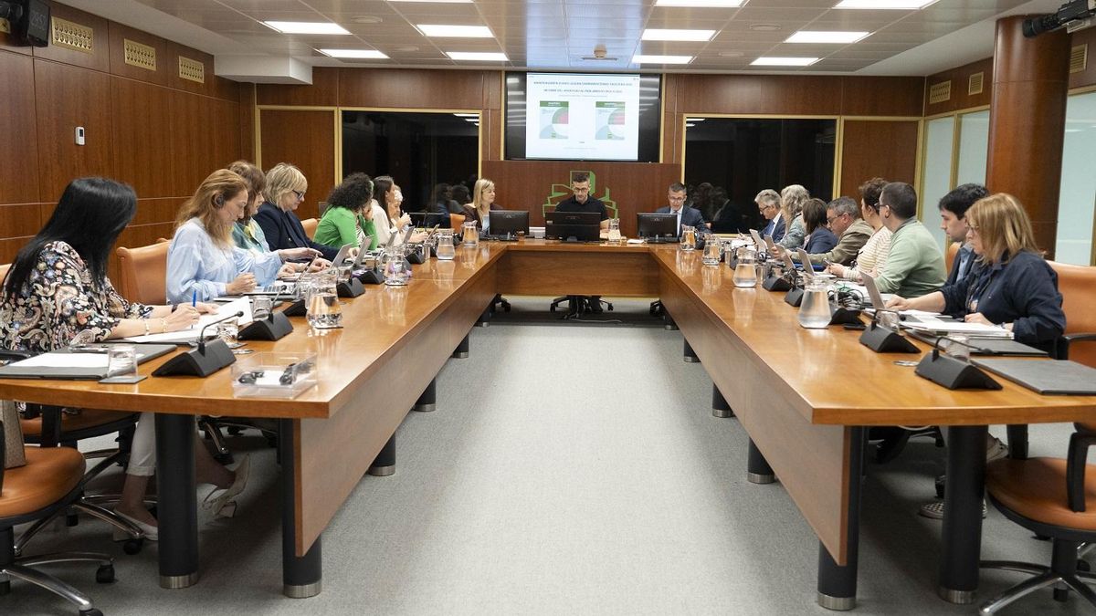 El Ararteko tiene "muy avanzado" el informe sobre la decisión de la Ertzaintza de dar el origen nacional de los detenidos