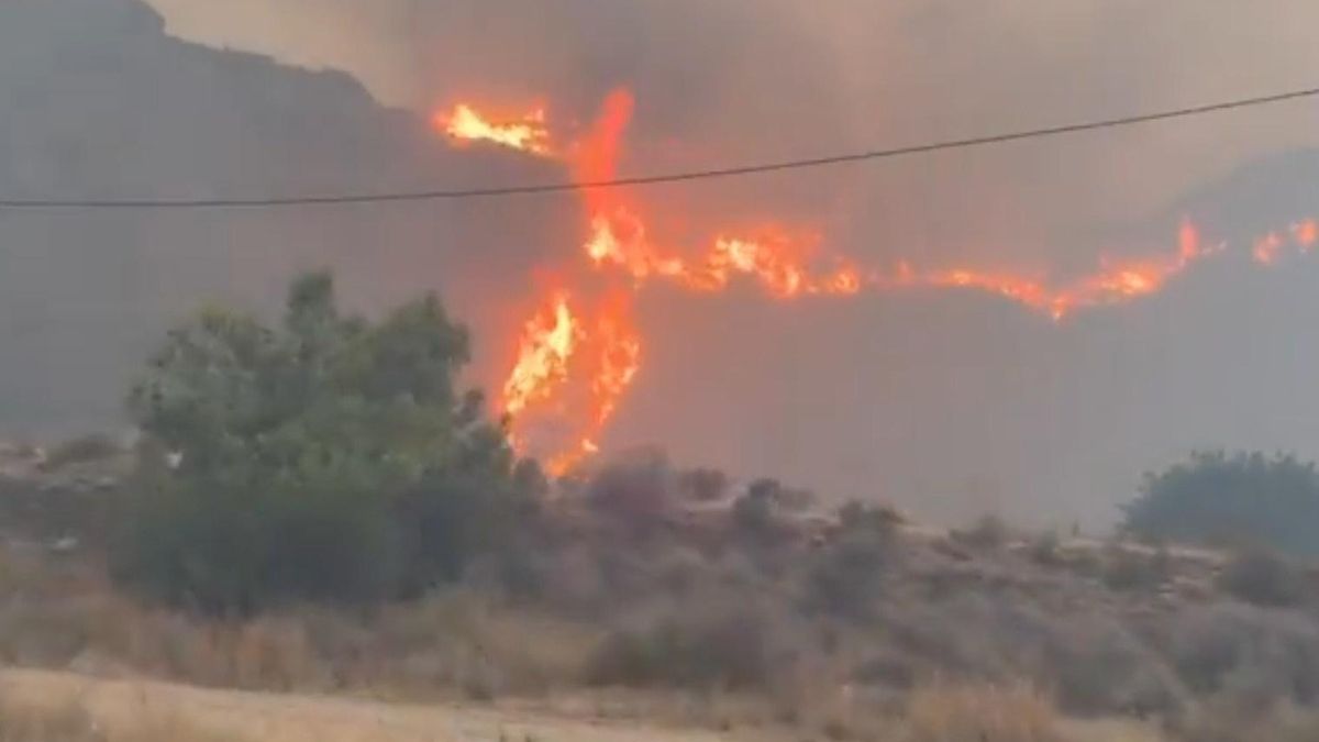 Última hora sobre el incendio de Los Gallardos: la UME se suma a los trabajos contra el fuego
