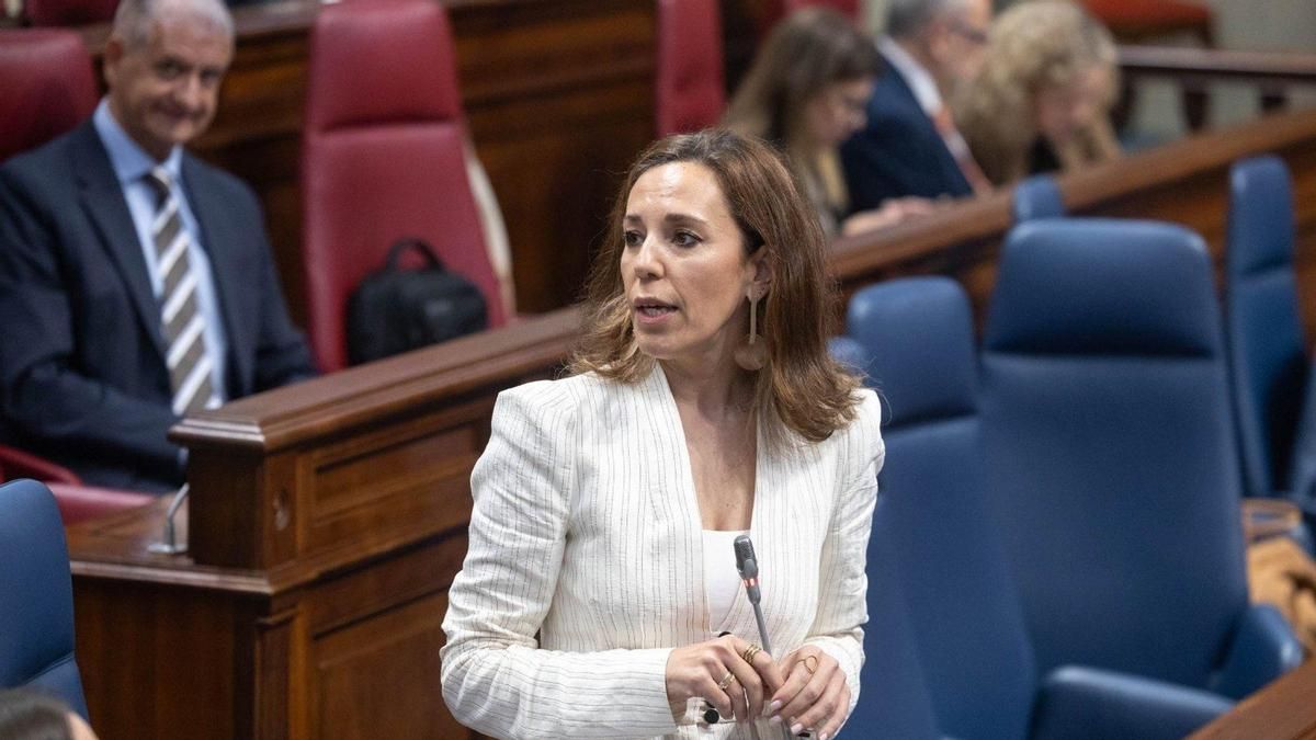 La oposición pide a la consejera de Turismo de Canarias que dimita por la ley que multa a propietarios y ella se lo toma "a coña"