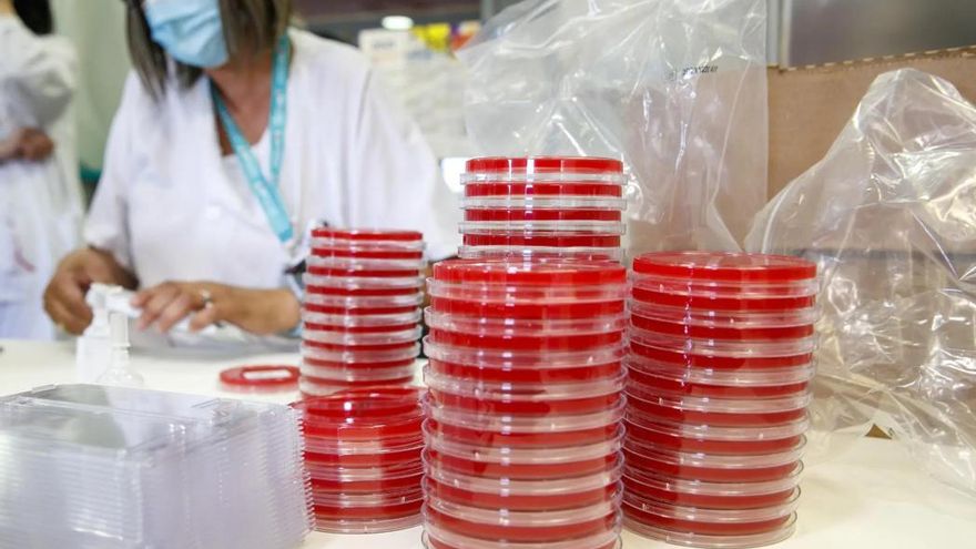 ¿Por qué está creciendo el sarampión? España necesita mantener la vacunación para contener los brotes