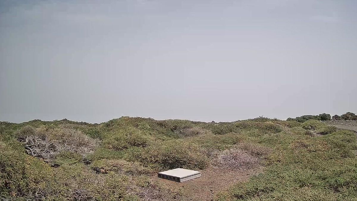 La Palma puede superar los 40 grados el martes: elevado a naranja el aviso por temperaturas máximas