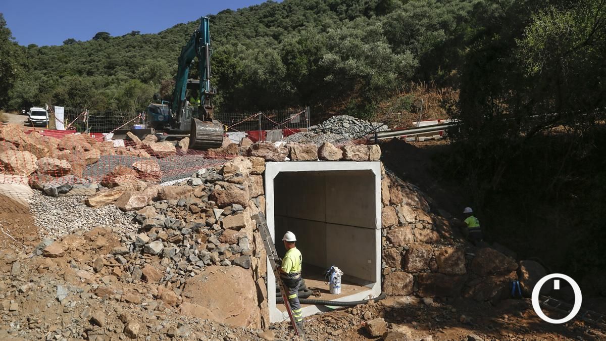 Construcción de la pasarela y el paso subterráneo del Cinturón Verde