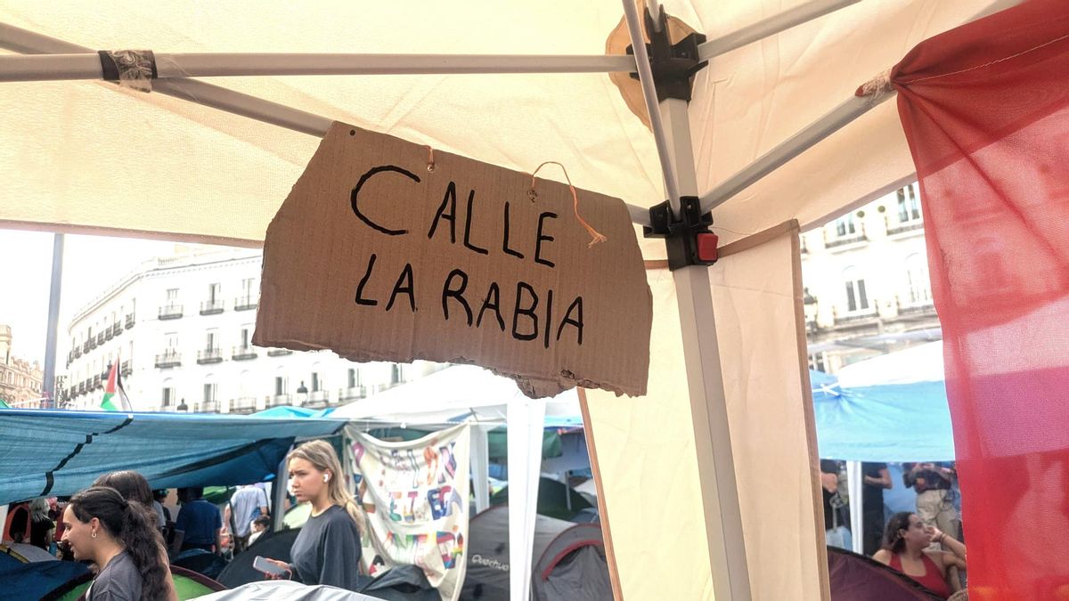 Algunos letreros de cartón vistos en la acampada de Sol
