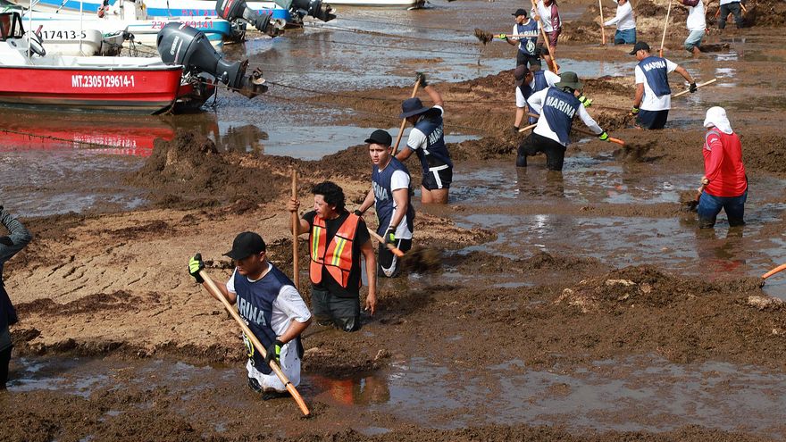 El sargazo vuelve a amenazar la temporada turística en el Caribe mexicano
