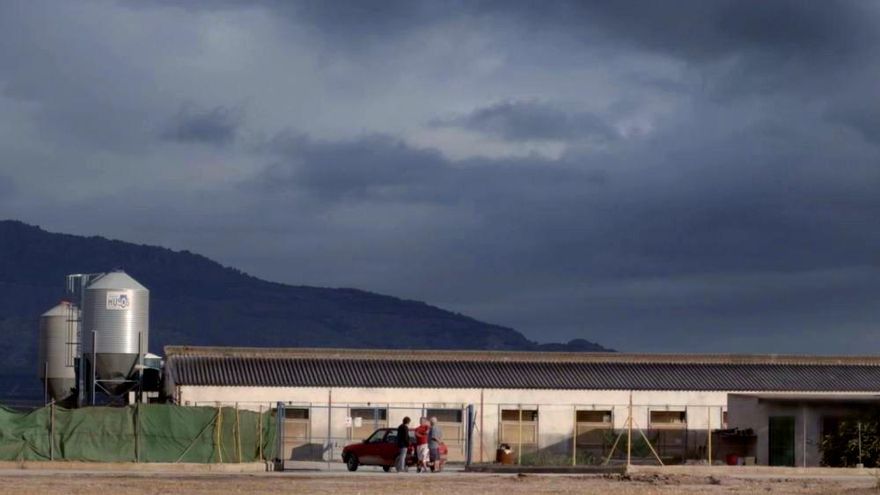 Fotograma de "Salvados" en la granja de Murcia