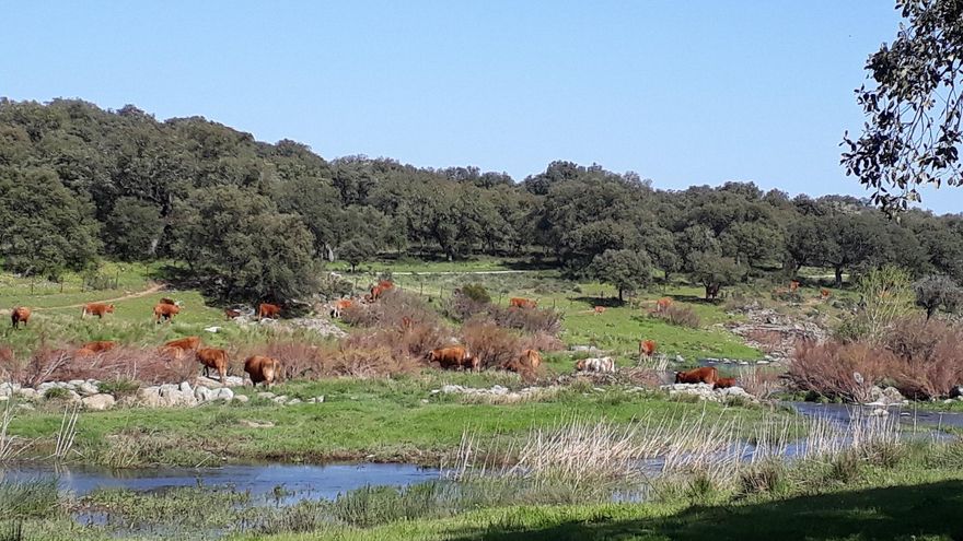 Talavera  recupera la celebración de la "emblemática" FIAGA, del 10 al 12 de mayo, 22 años después de la última