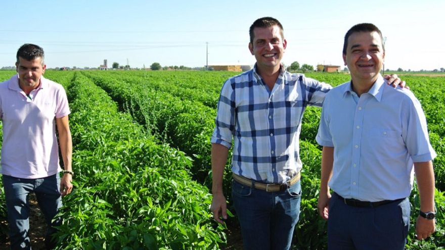 Castilla-La Mancha publica nueva convocatoria de ayudas para jóvenes y mejoras dotada con 100 millones de euros