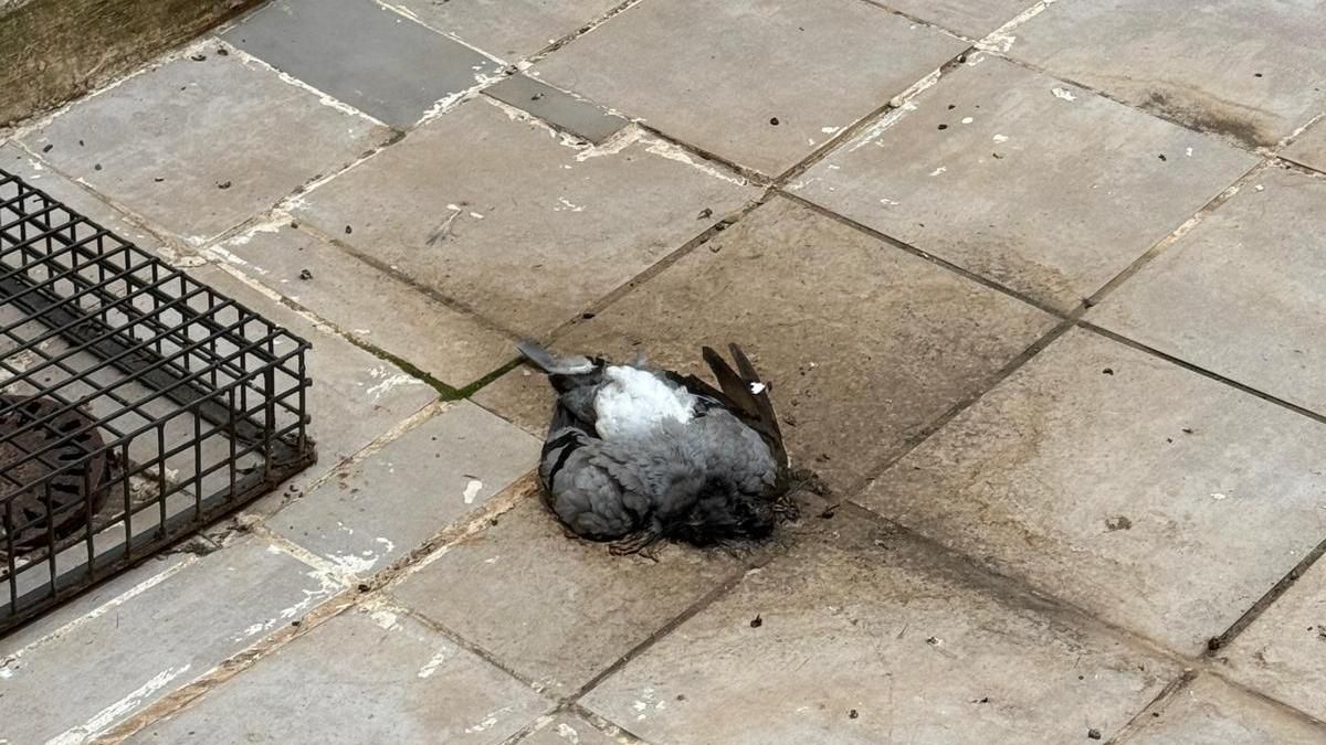 Situación de la cárcel de Logroño