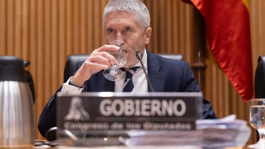 El ministro de Interior, Fernando Grande-Marlaska, en el Congreso de los Diputados
