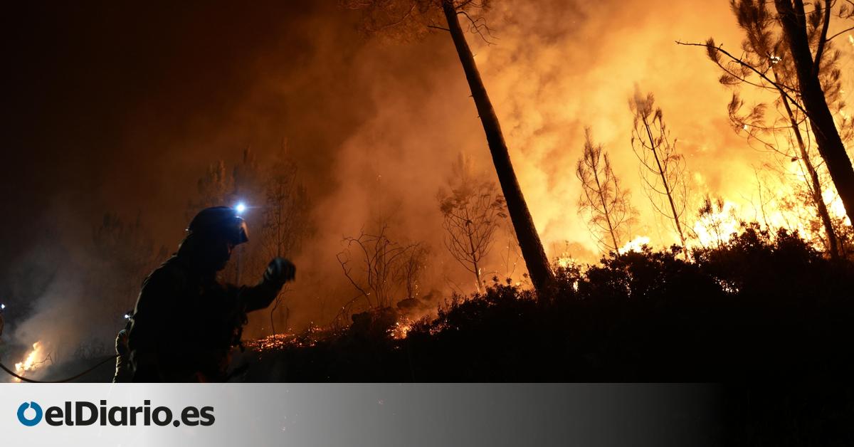 Negacionismo, bulos y descrédito institucional: la extrema derecha creció con la dana y exprime los incendios