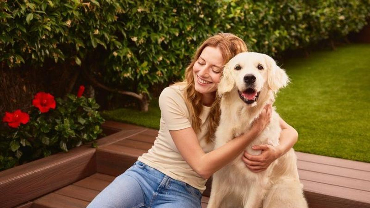 Los perros saben detectar y diferencias las emociones de los humanos
