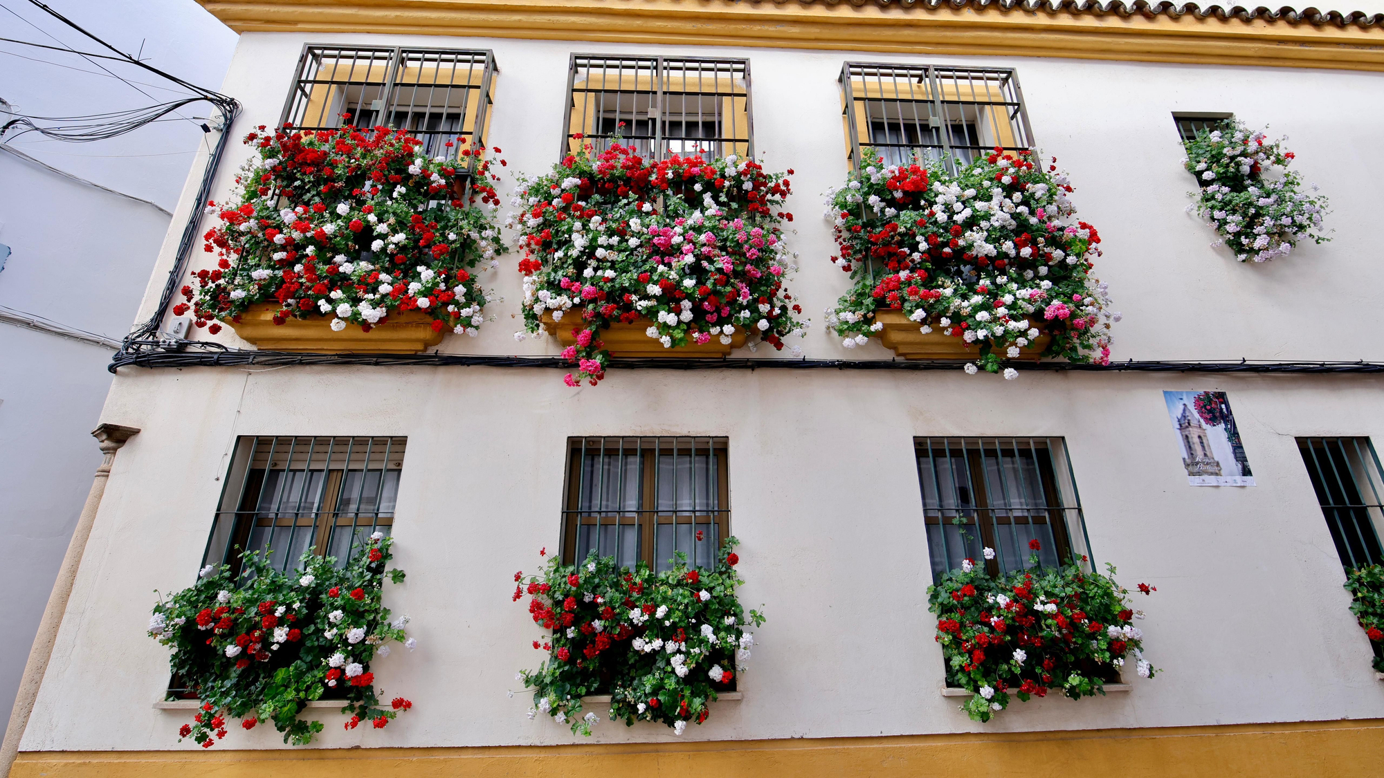 Primer premio de Rejas y Balcones en Fernán Pérez de Oliva, 7