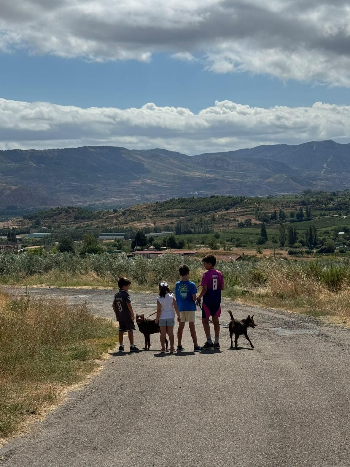 Las fotografías ganadoras del concurso 'Disfruta La Rioja'