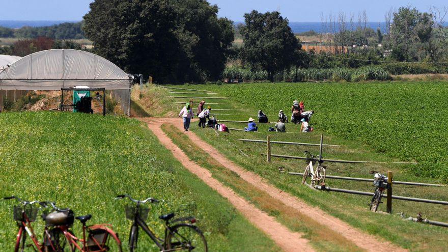 Conmoción en Italia por la muerte de un jornalero al que su patrón abandonó después de que una máquina le cortara un brazo