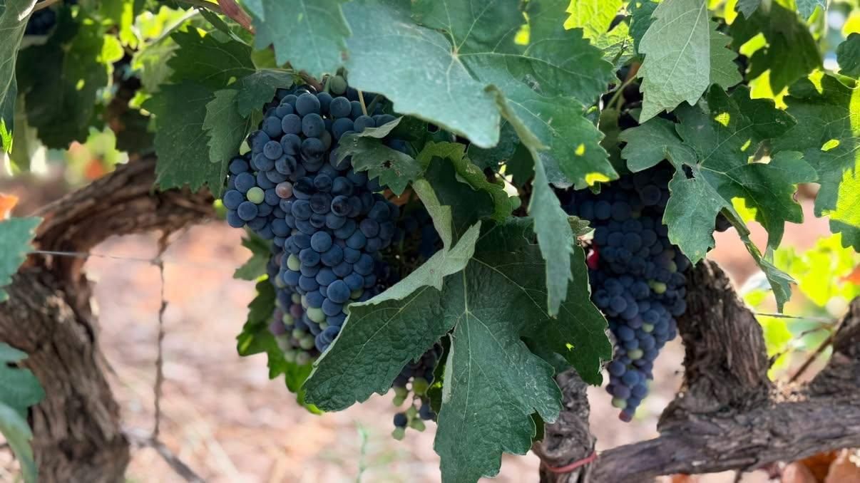 Todas las fotos del concurso 'Disfruta La Rioja' (Parte 2)