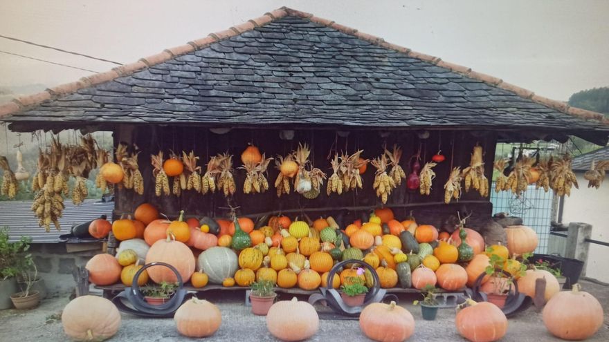 La vida de Trini y José Luis junto al hórreo más fotografiado de Asturias: "Tenemos muchas anécdotas y todas buenas"