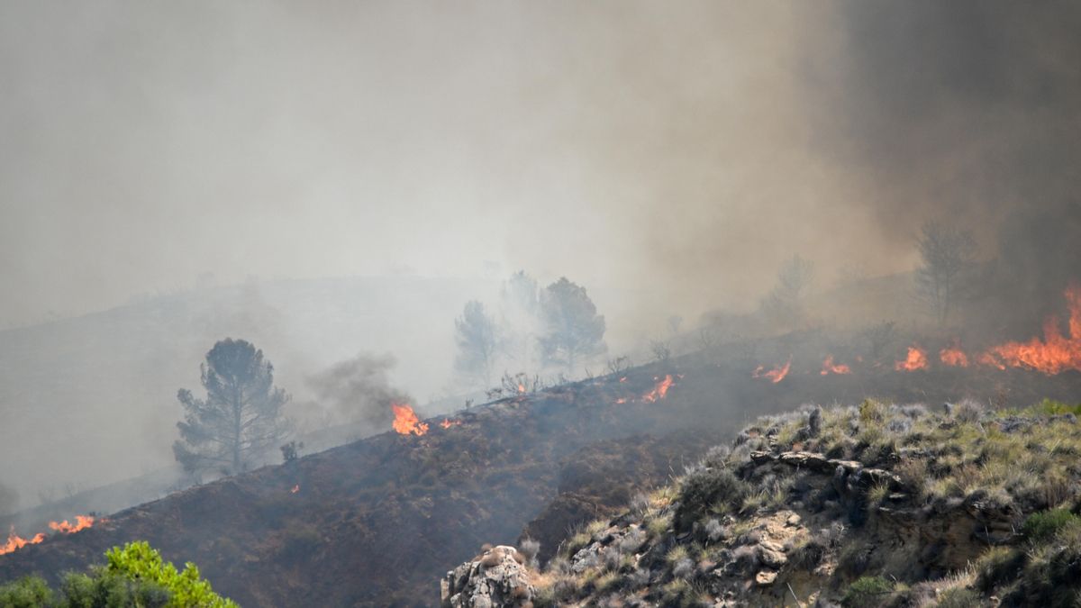El calor extremo deja ya más de 30.000 hectáreas arrasadas, miles de evacuados y 12 muertos por los incendios en España