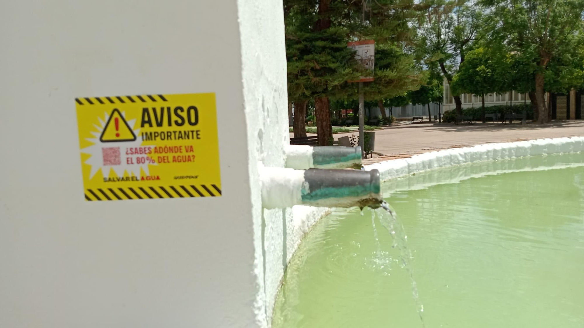 Greenpeace inunda las fuentes de Córdoba con mensajes de advertencia por el regadío intensivo